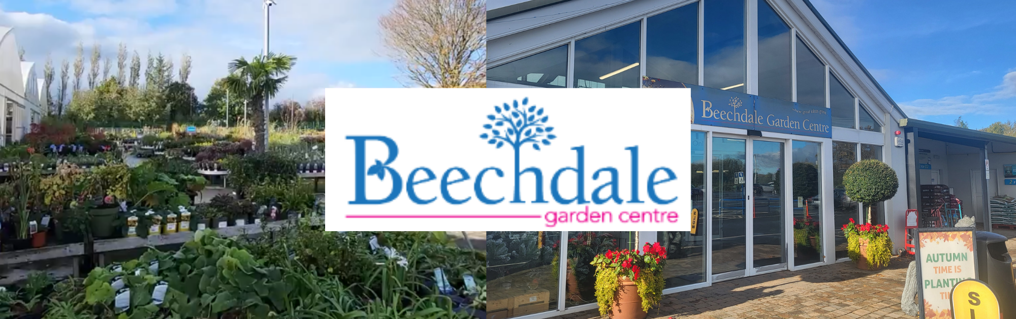 Beechdale Garden Centre