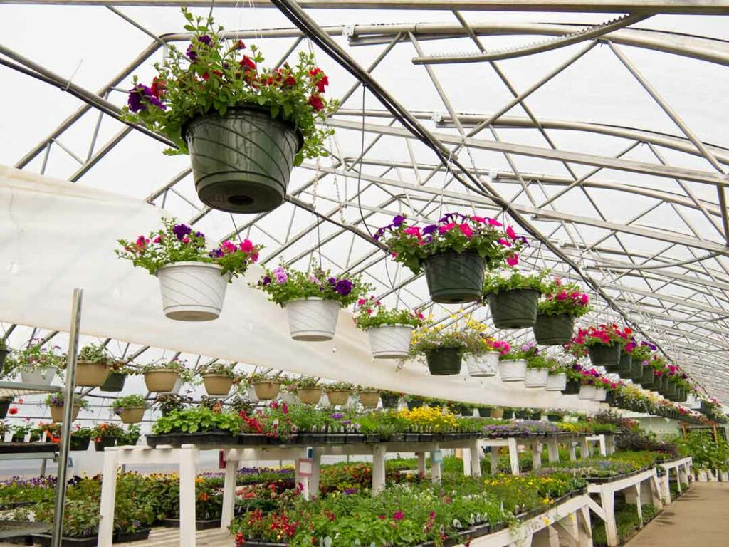 Positive Systems Solutions Garden Centre Store Industry